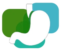 Stomach Health Icon
